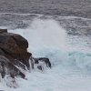 Peggys Cove 2011_23